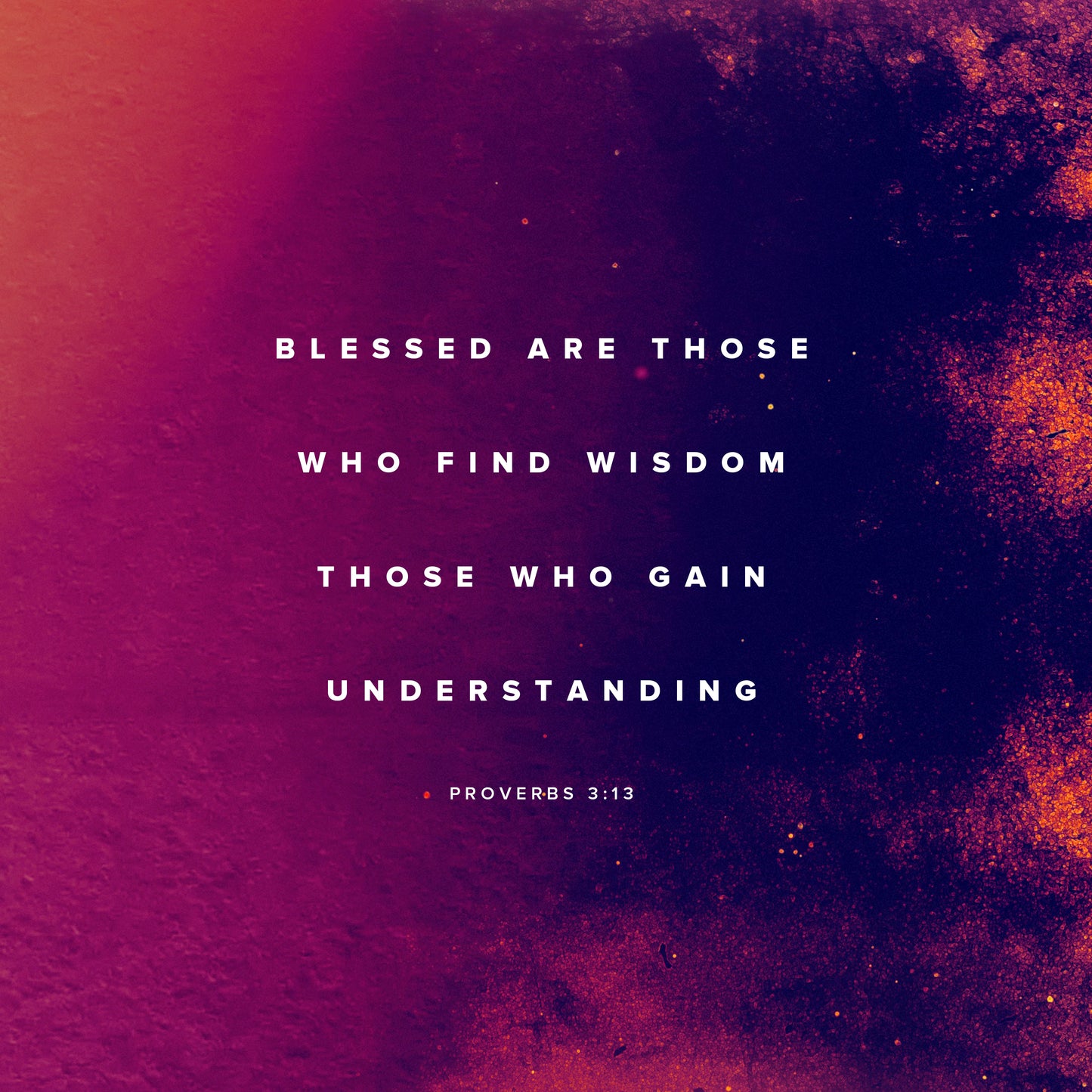Proverbs 3:13 Social