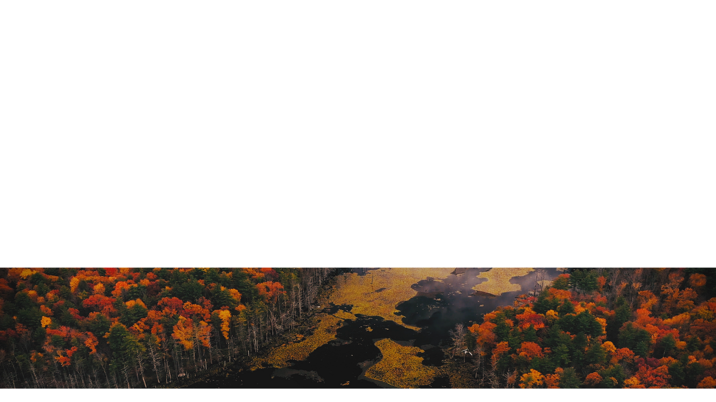 Autumn Colors Lower Third Full 1