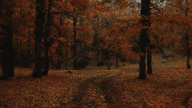 Autumn Vibes 2 Alt