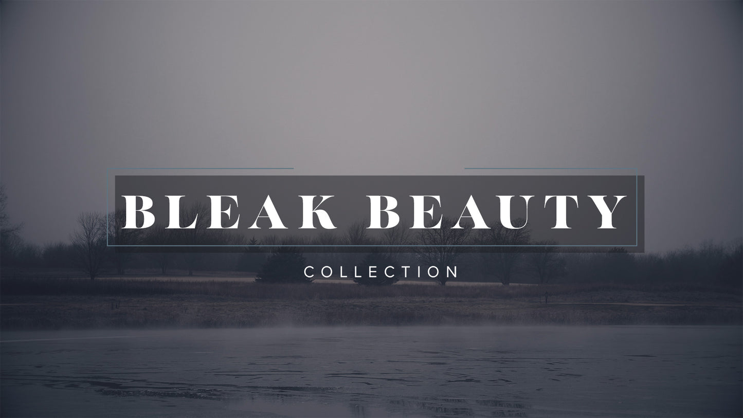 Bleak Beauty