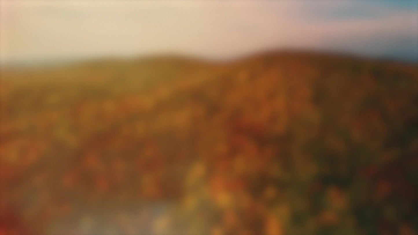 Thanksgiving Flight Autumn Blur