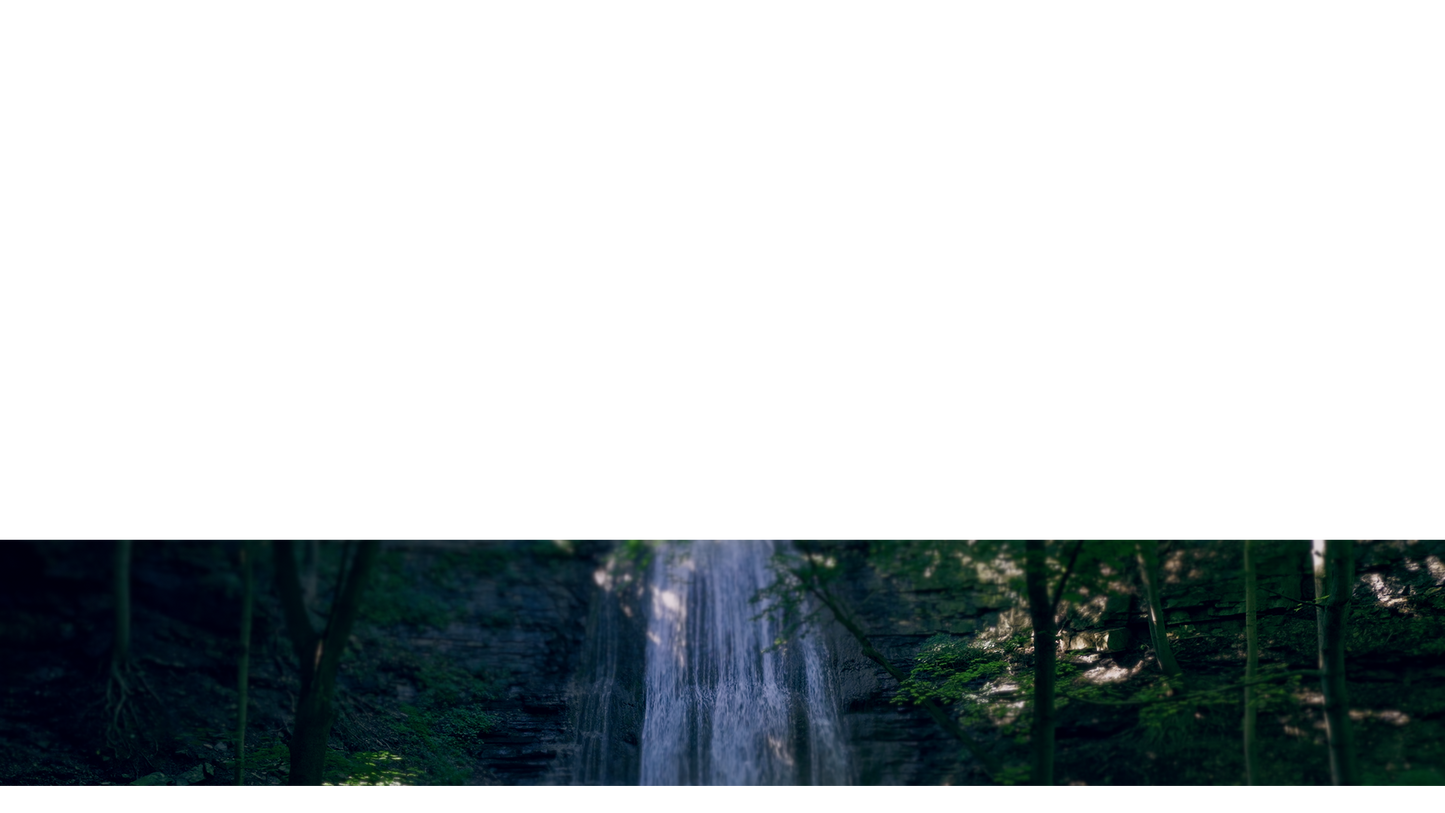 Natures Force Lower Third 6