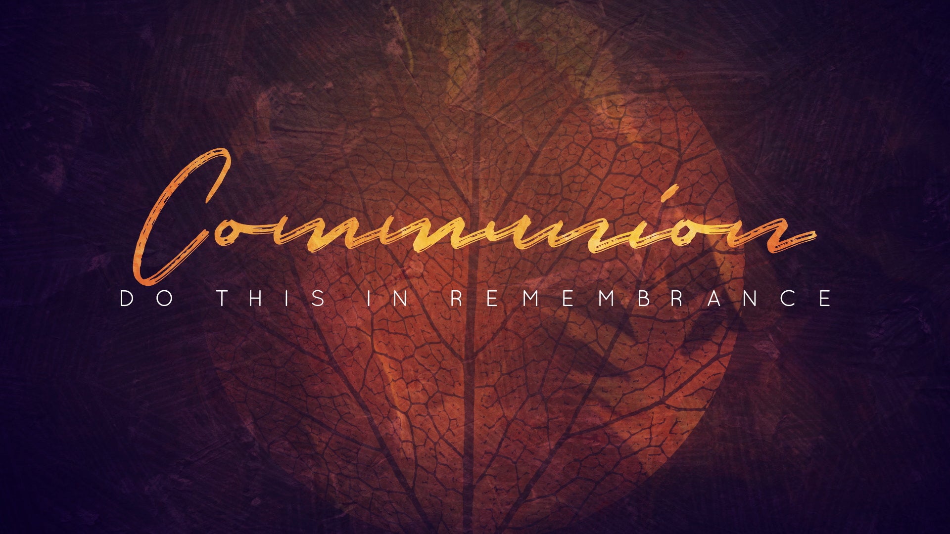 Fall Into Grace Communion Still | Shift Worship
