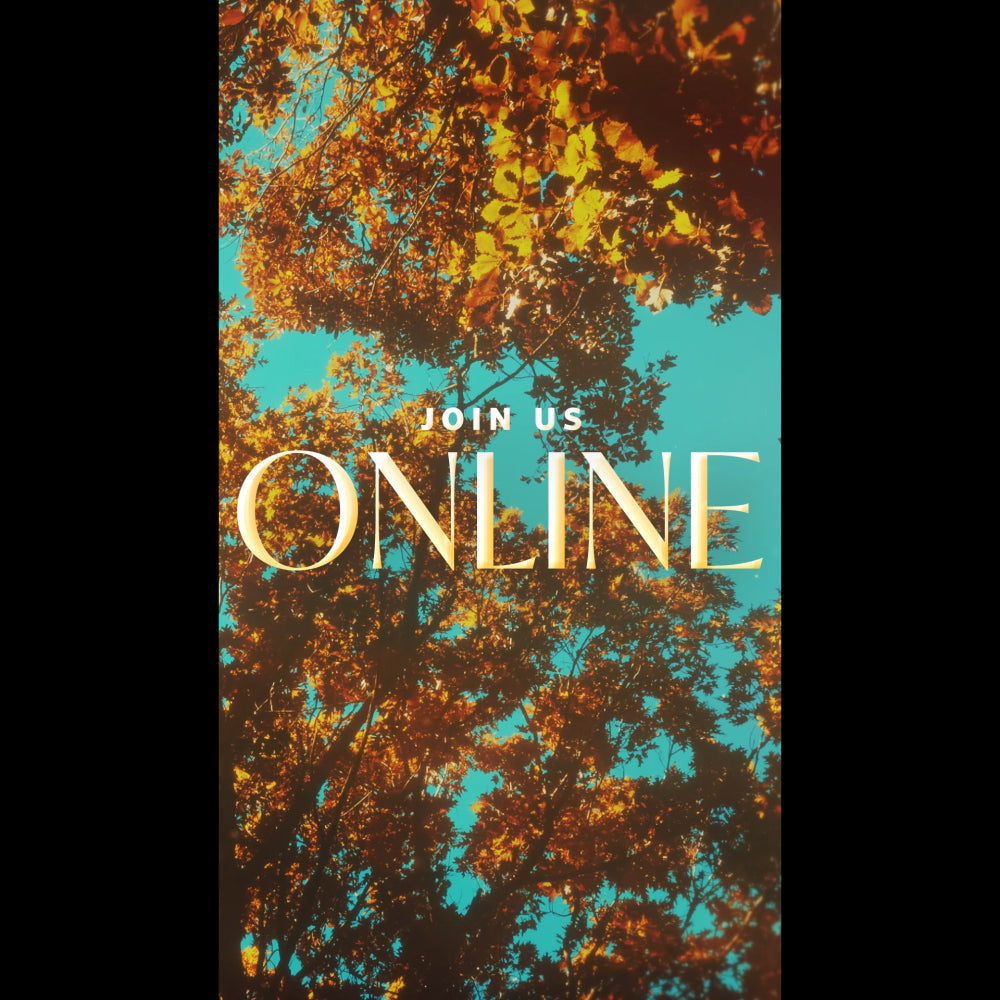Autumn Canopies Online Reel