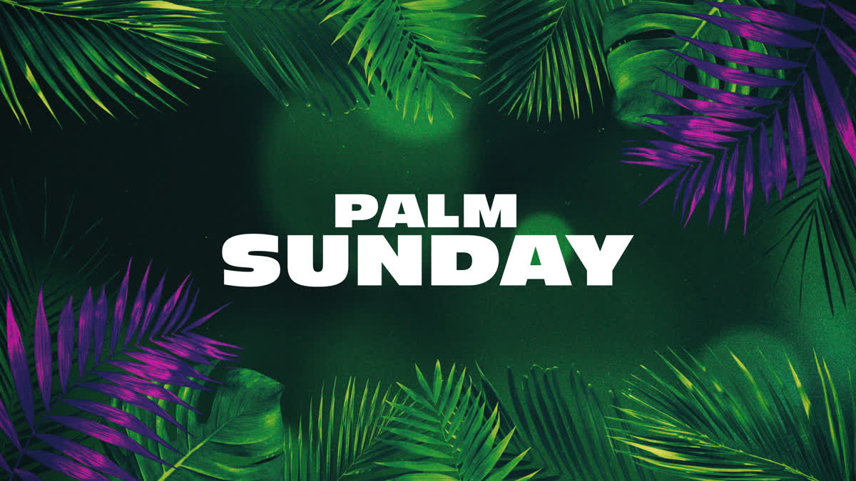 Vibrant Palms Palm Sunday