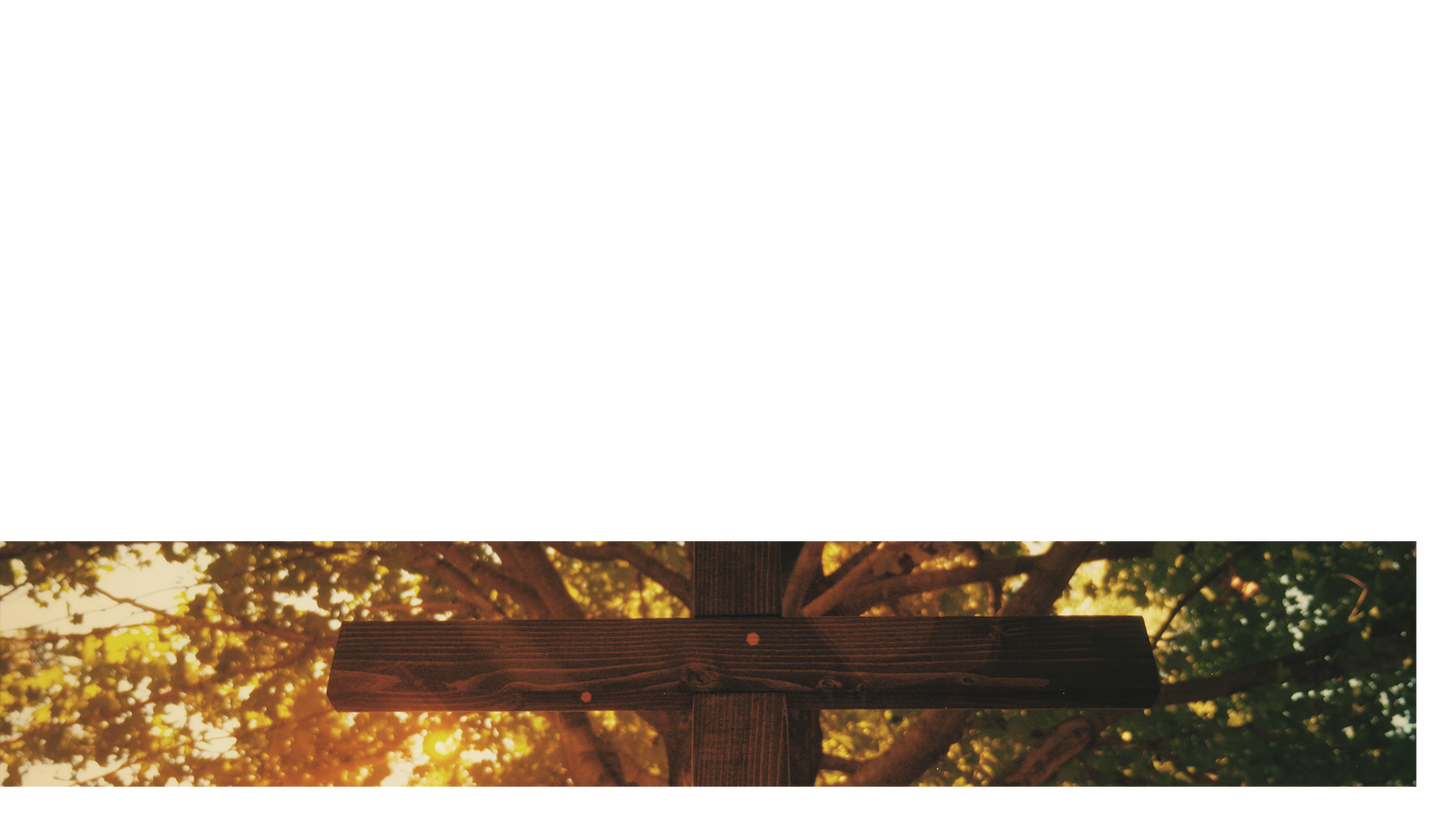 Nature Cross Lower Third 6