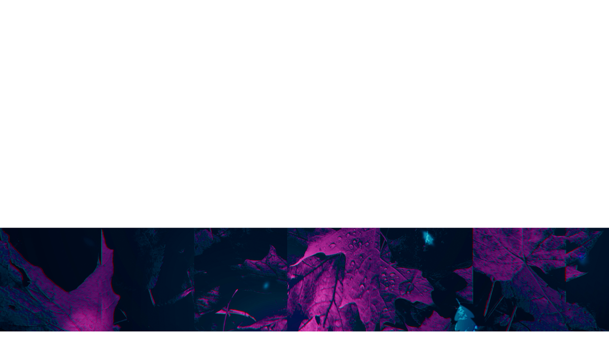 Autumn Memories Lower Third 2