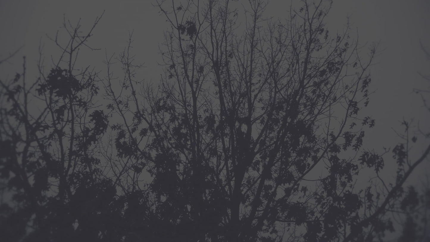 Bleak Beauty Tree Fade