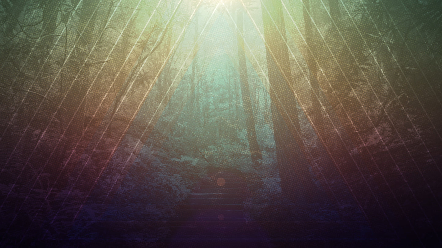 Fall Forest 02 Still