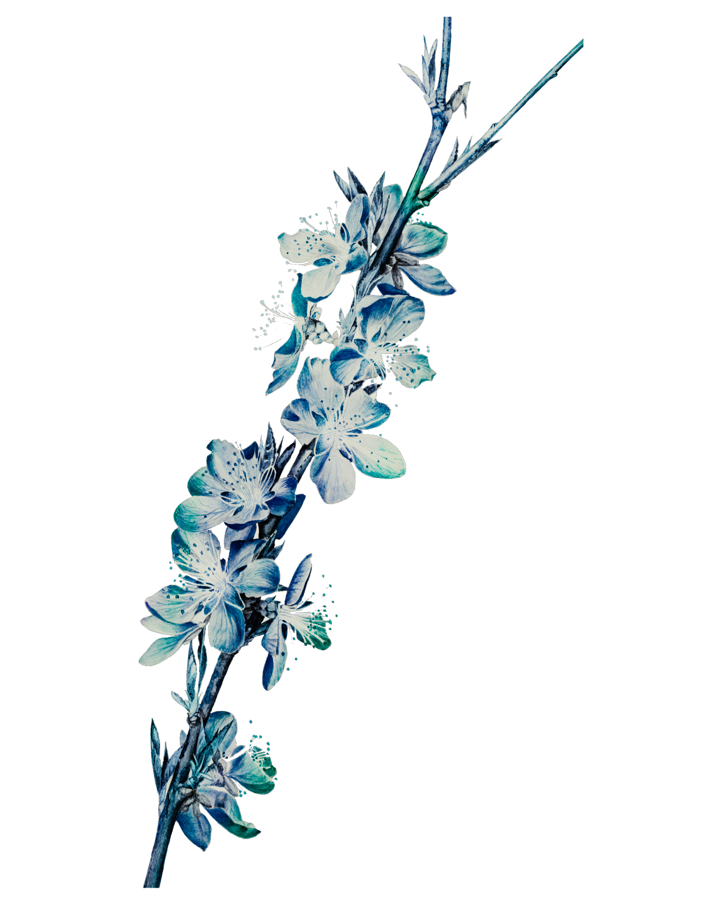 Mothers Day Glam Flower13