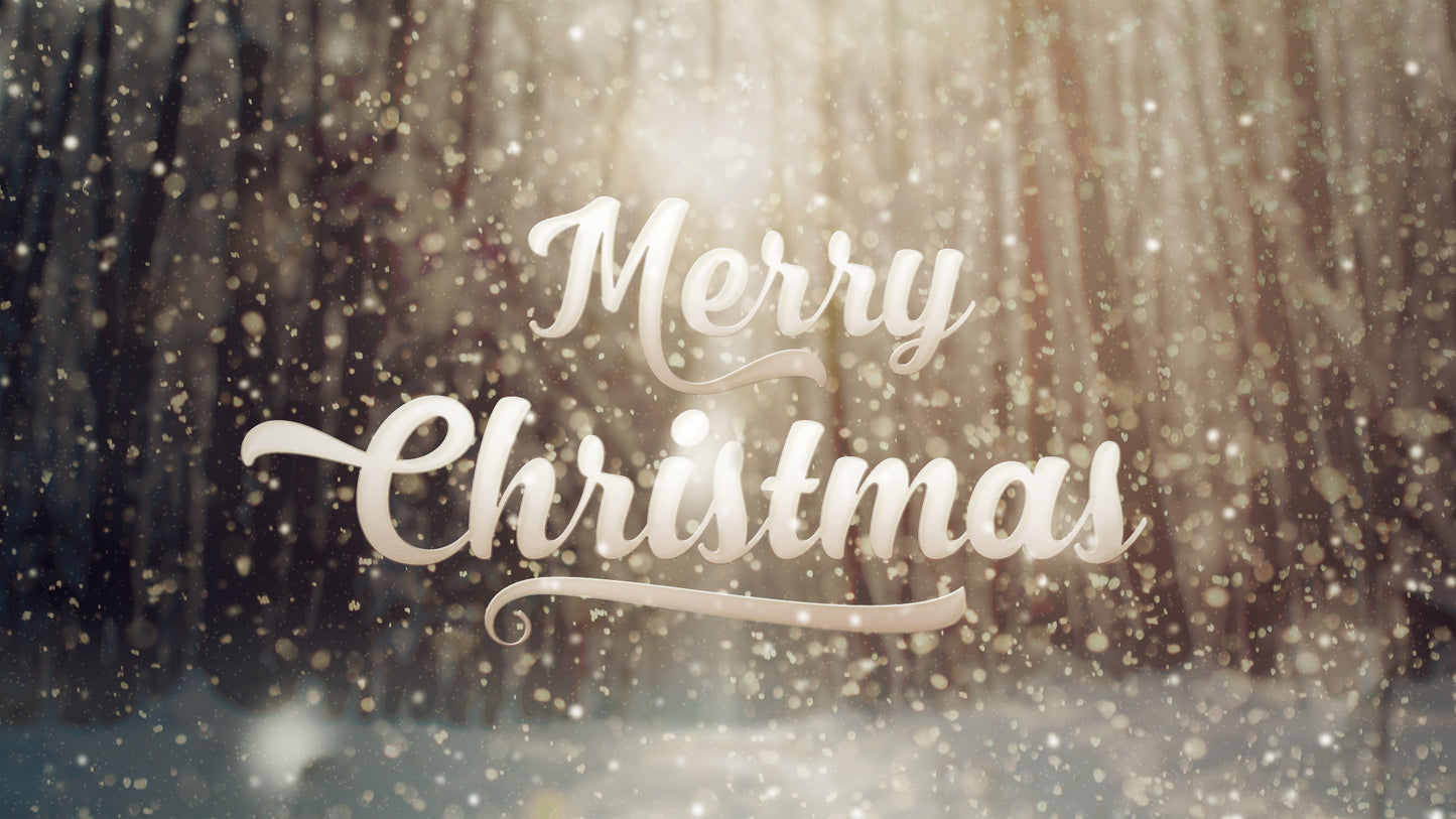 Christmas Forest One