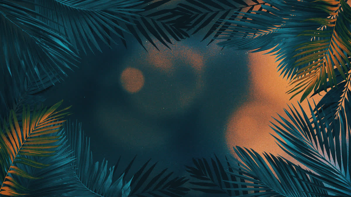Vibrant Palms 2