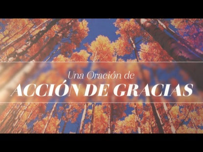 Una Oración De Acción De Gracias