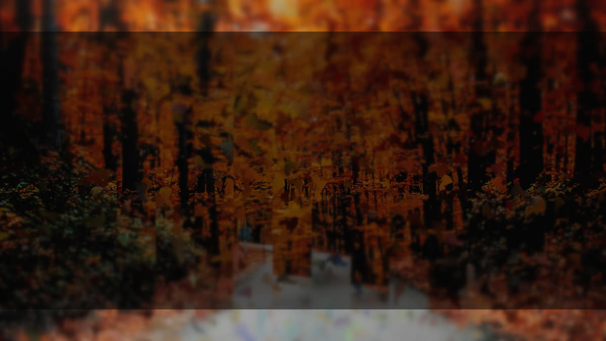 Autumns End 3 Alt