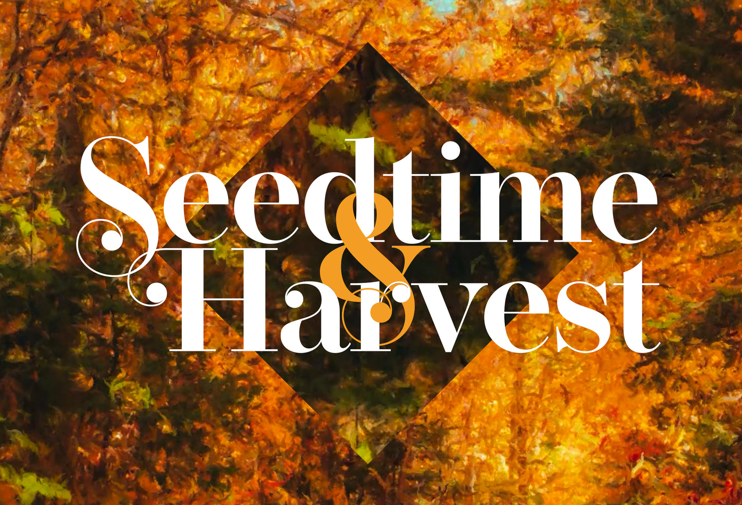 Autumn Vibes 8x5 Postcard