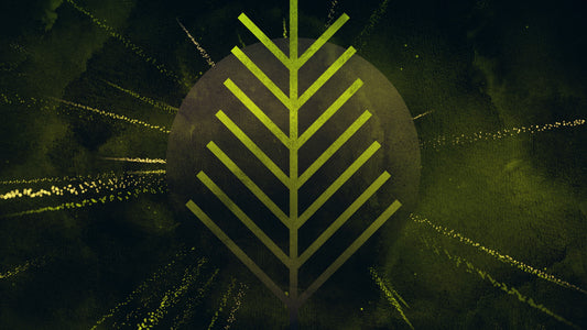 Particle Rays Palm Sunday 01 Still