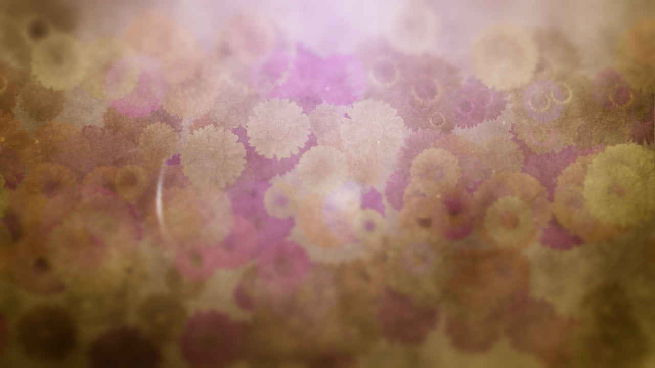 Floral Sparkle 02 Still