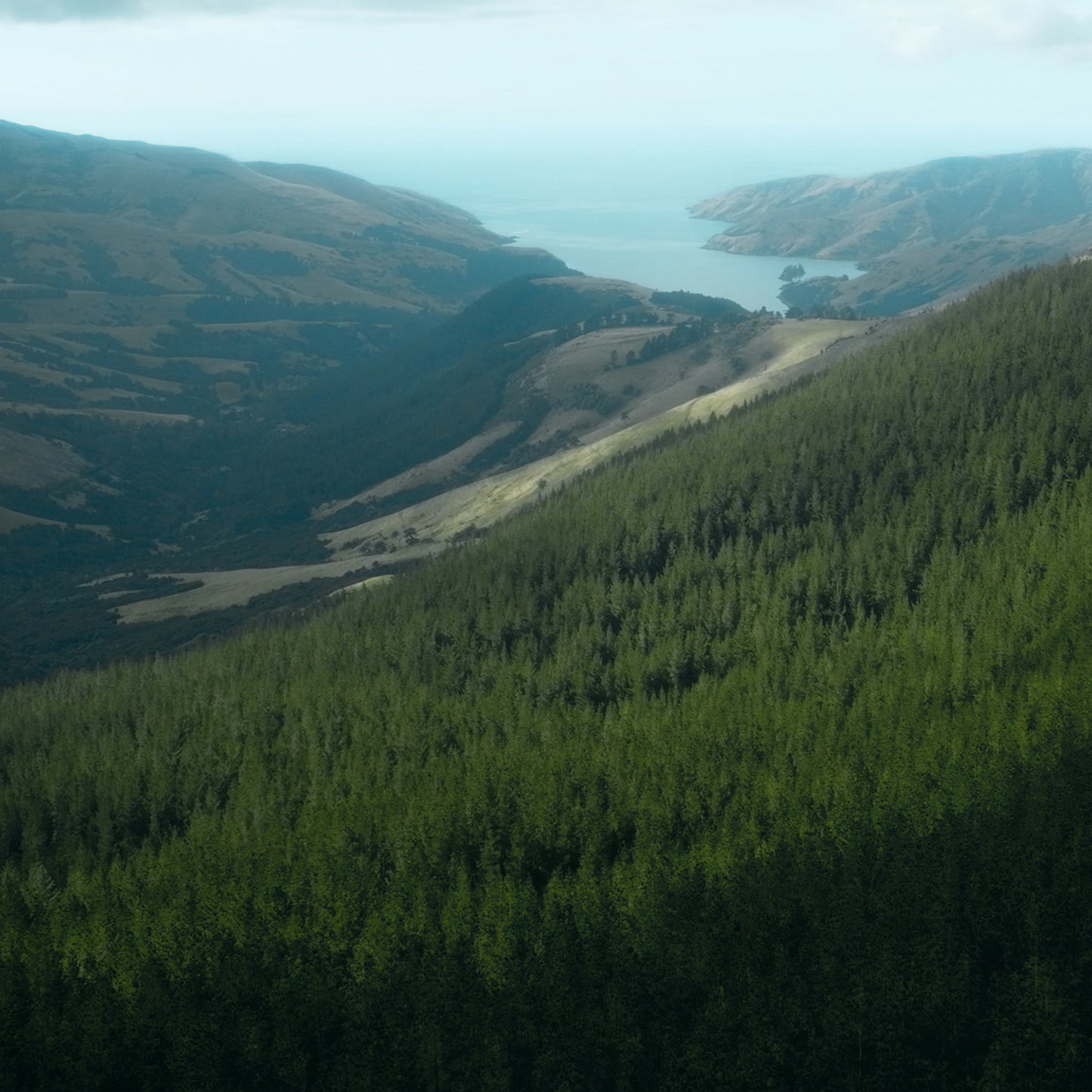 Aerial Bliss Online