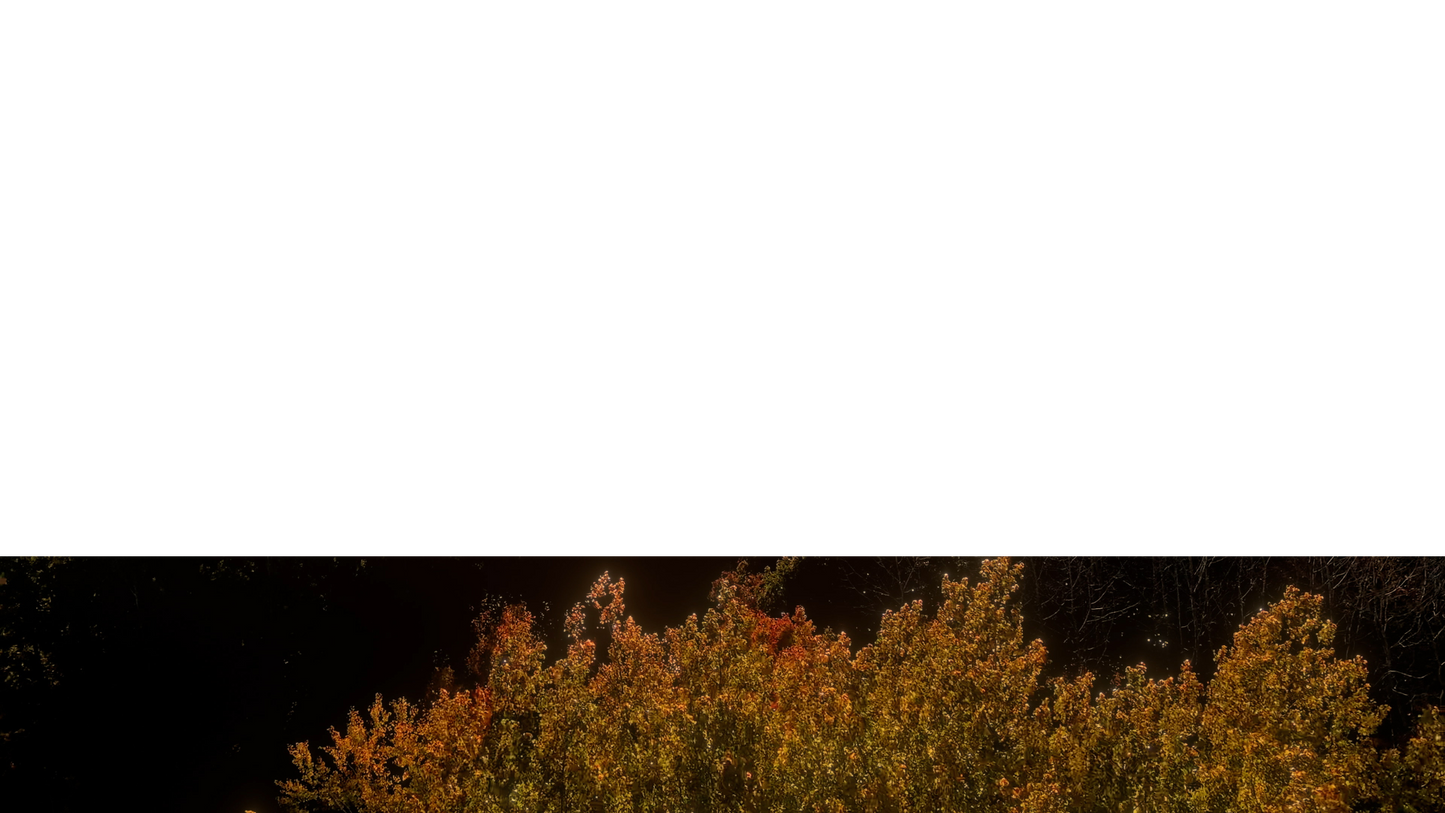 Fall Foliage Lower Third Full Blank Large