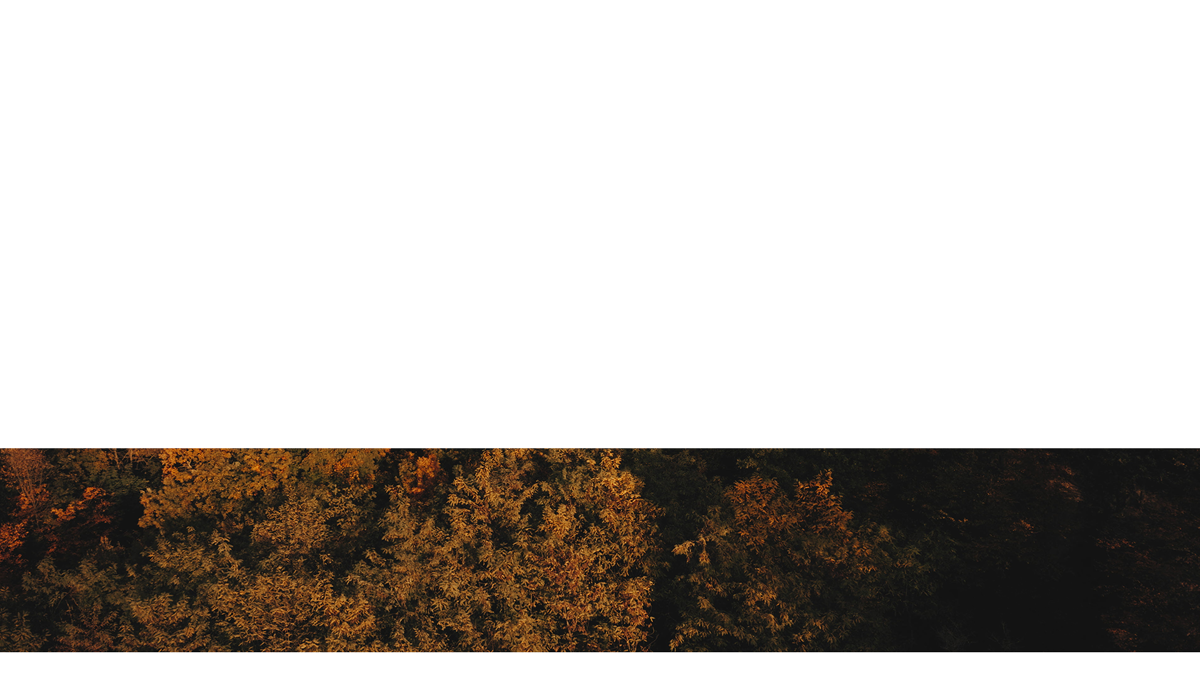 Autumn Foliage Lower Third 9