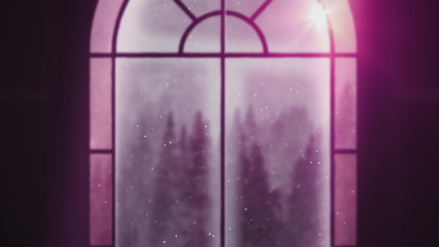 Winter Windows Stylish