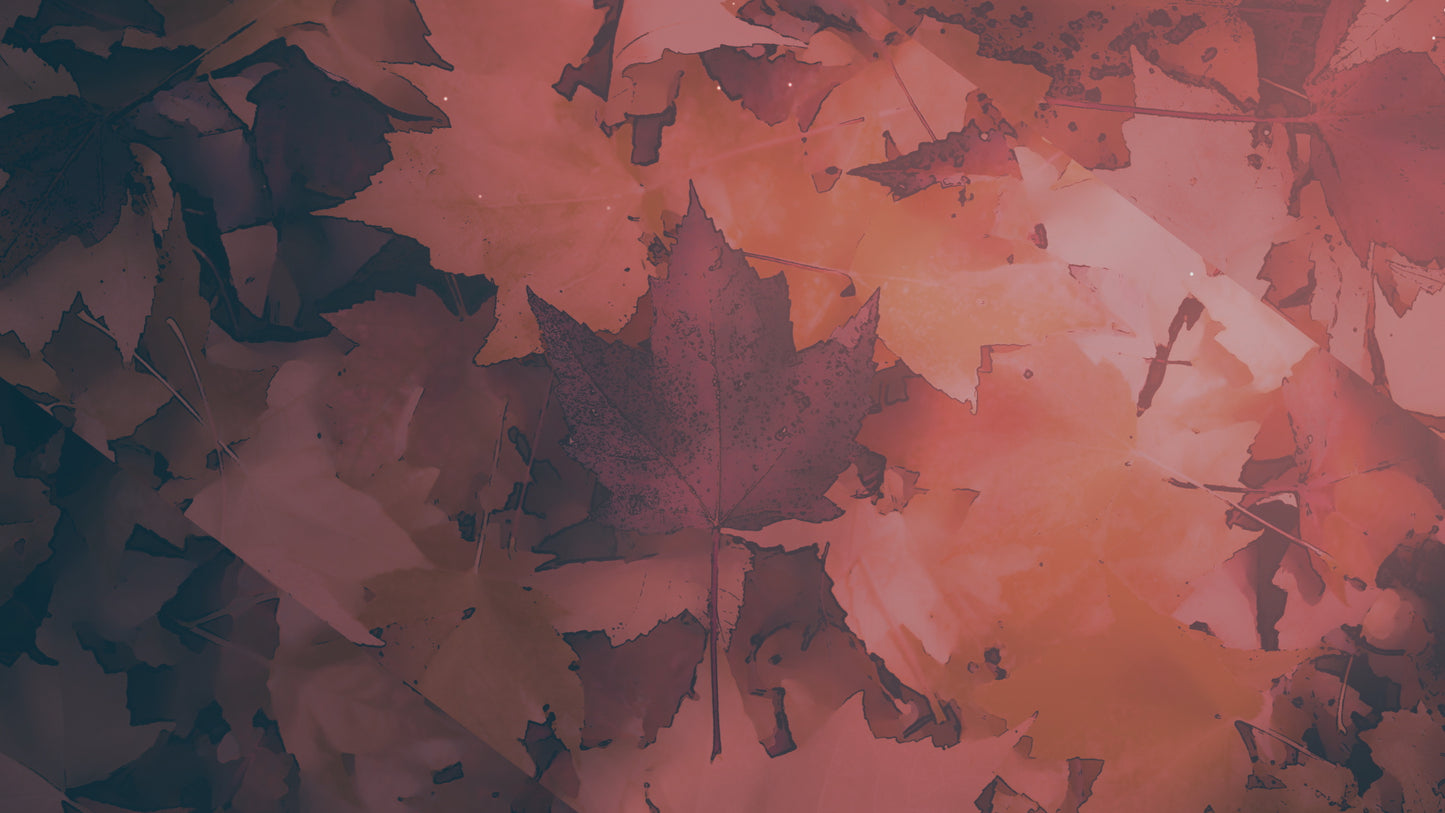 Peaceful Autumn 01 Still