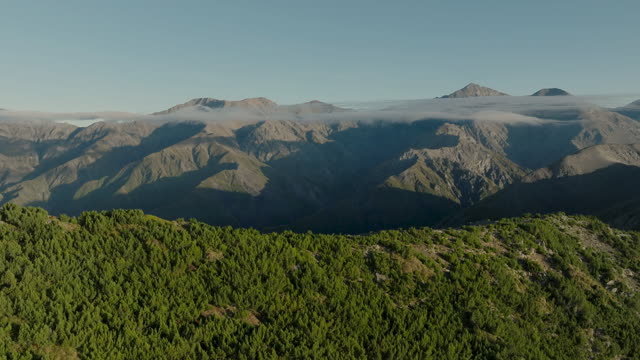 Kiakoura 6