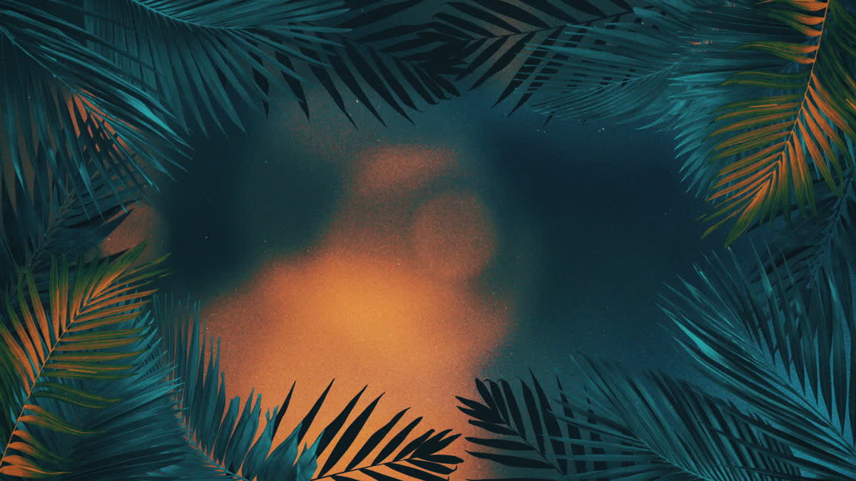Vibrant Palms 2