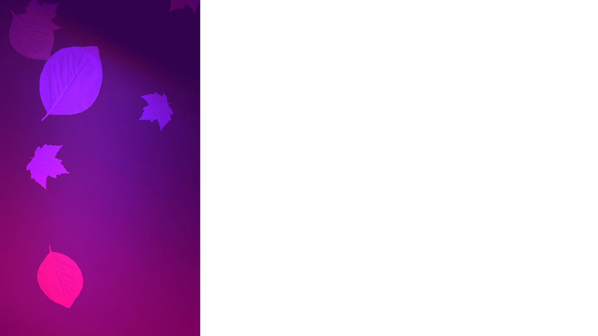 Light Leaves Lower Third Left Blank Transparency