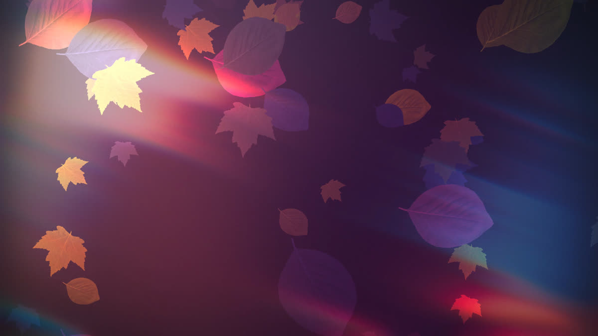 Light Leaves 02