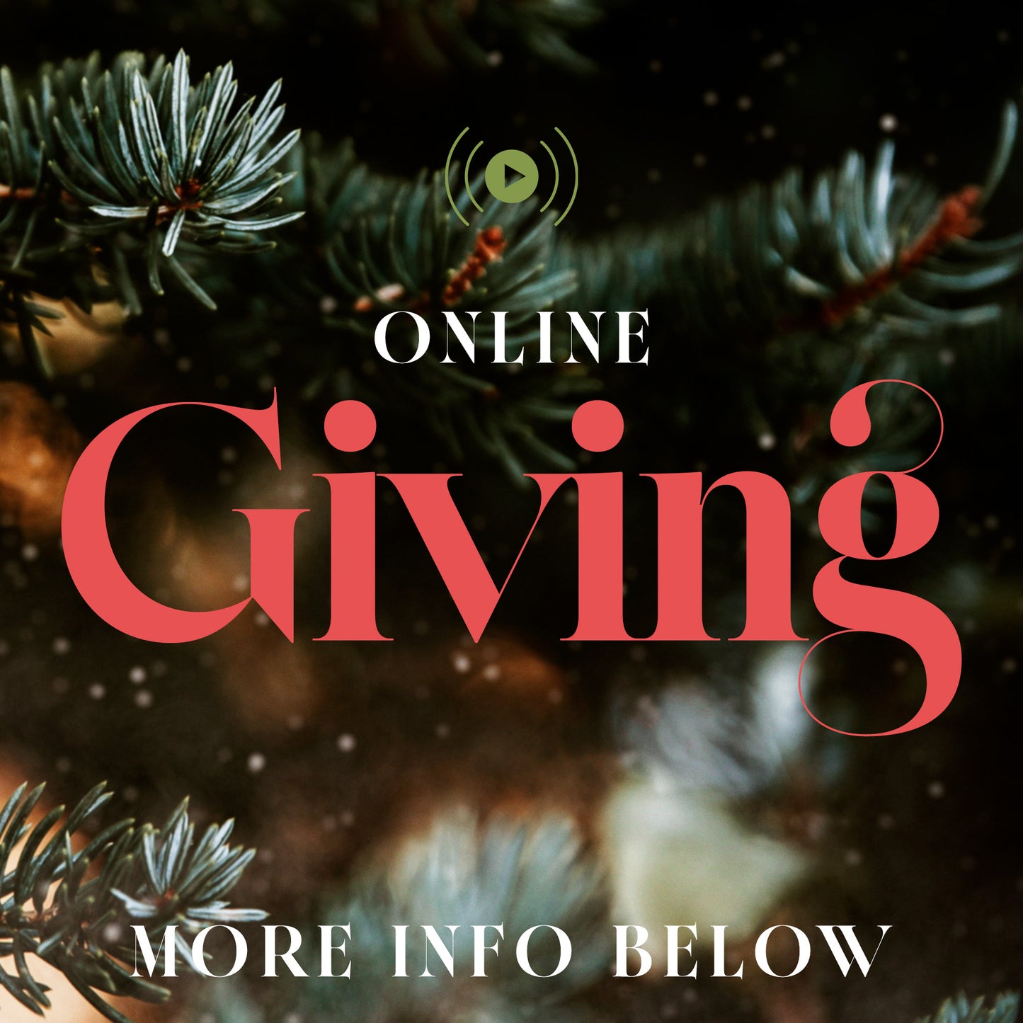 Evergreen Giving