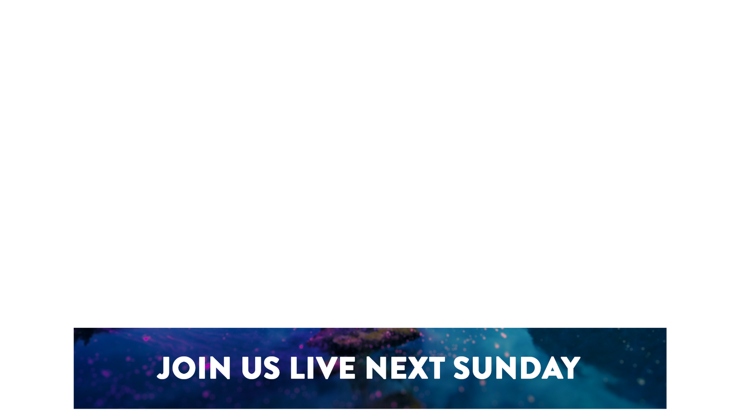 Vivid Nature Lower Third Next Sunday