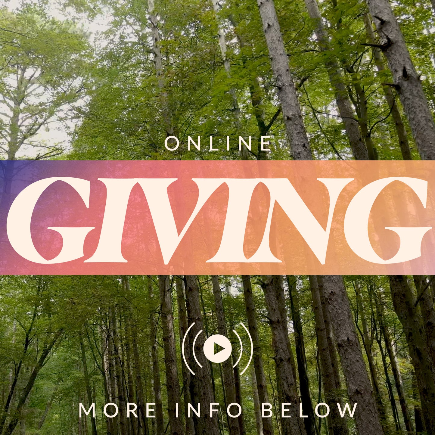 The Forest Grow in Grace Giving