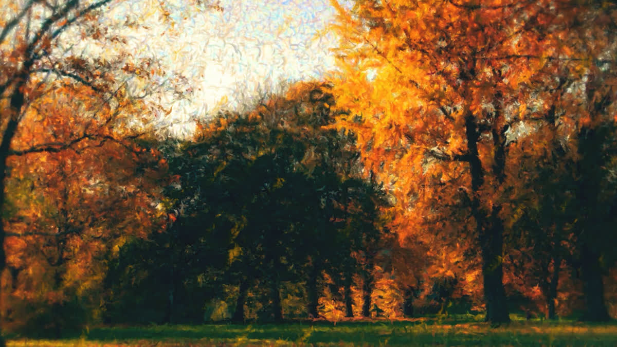 Autumn Vibes 3