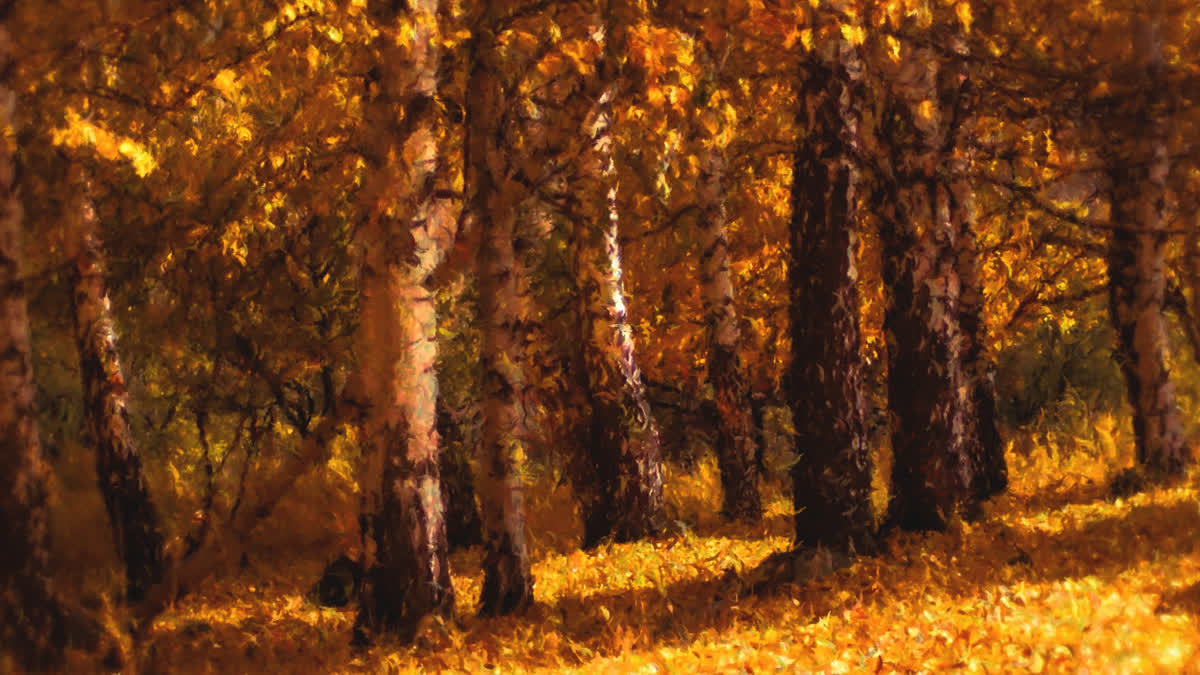 Autumn Vibes 6