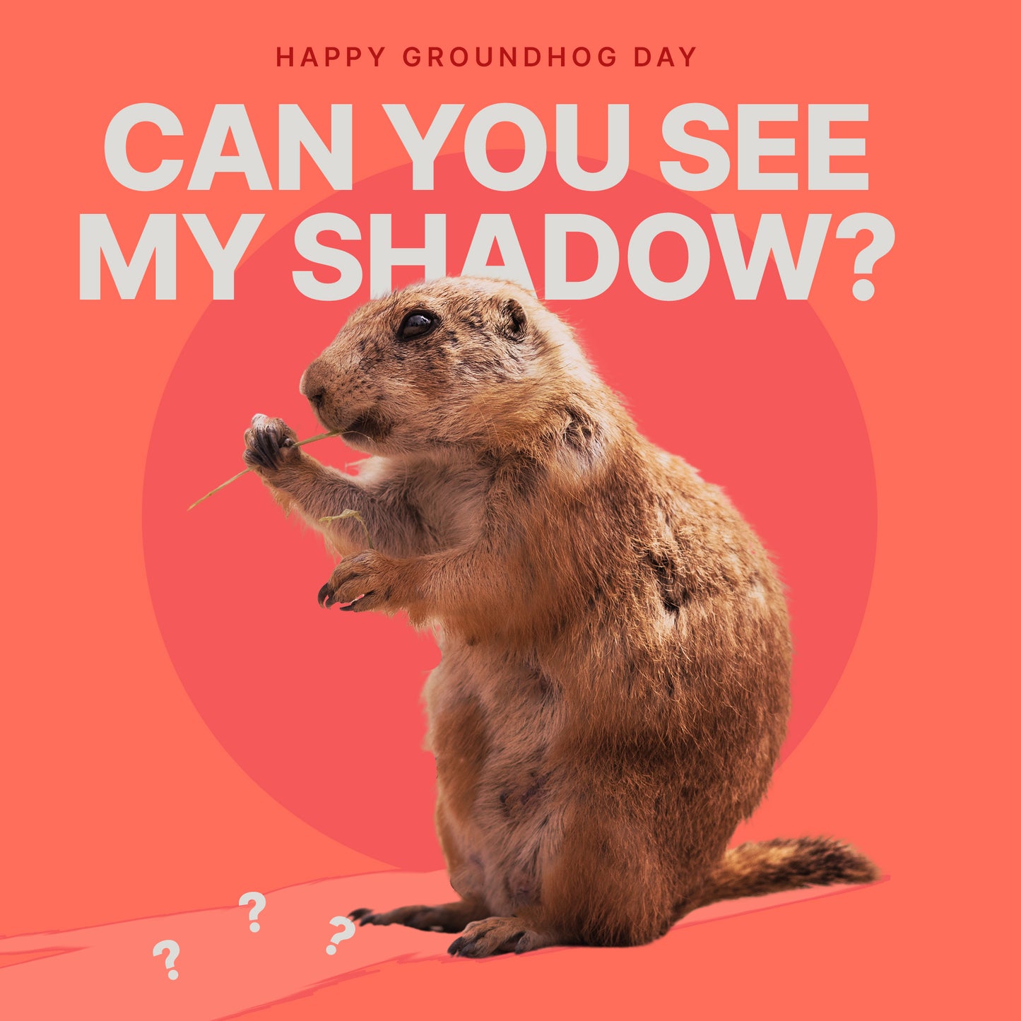 Groundhog Day