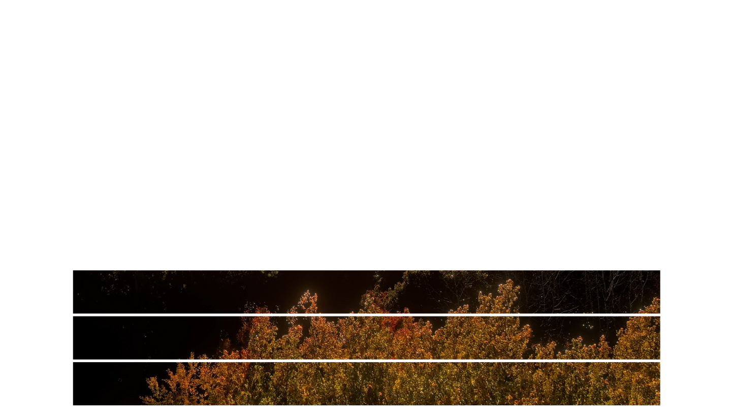 Fall Foliage Lower Third Blank 03