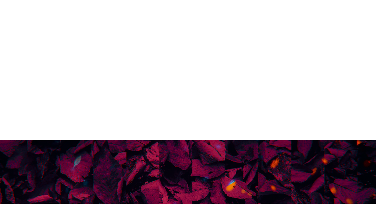 Autumn Memories Lower Third 8