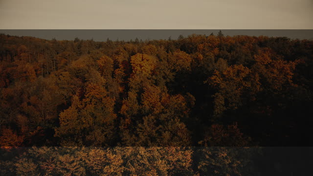 Autumn Foliage 9 Alt