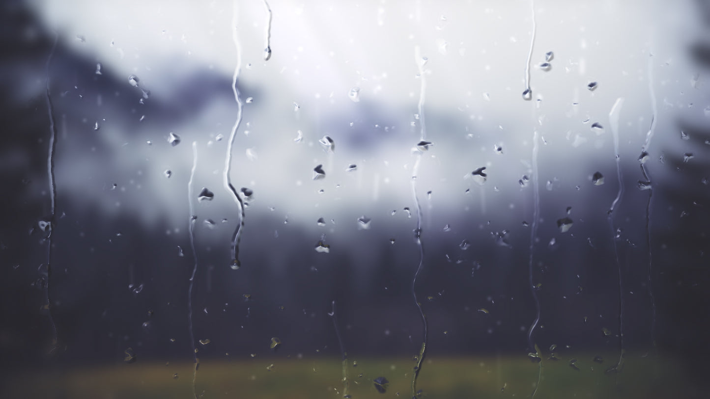 Rainy Day View