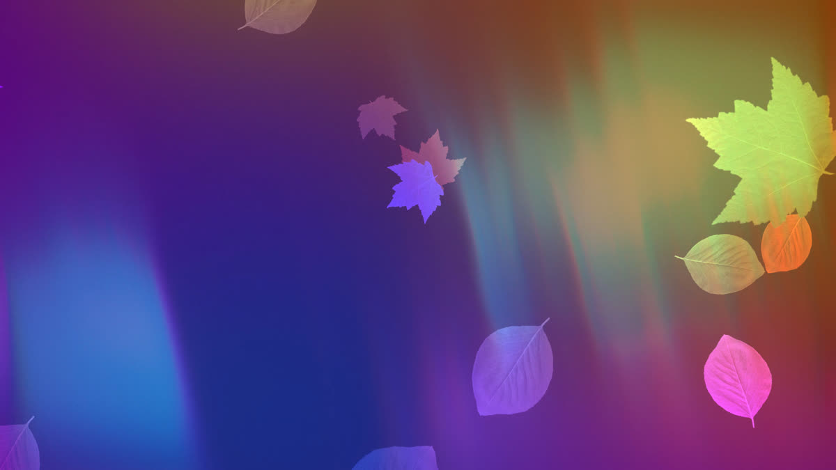 Light Leaves 07