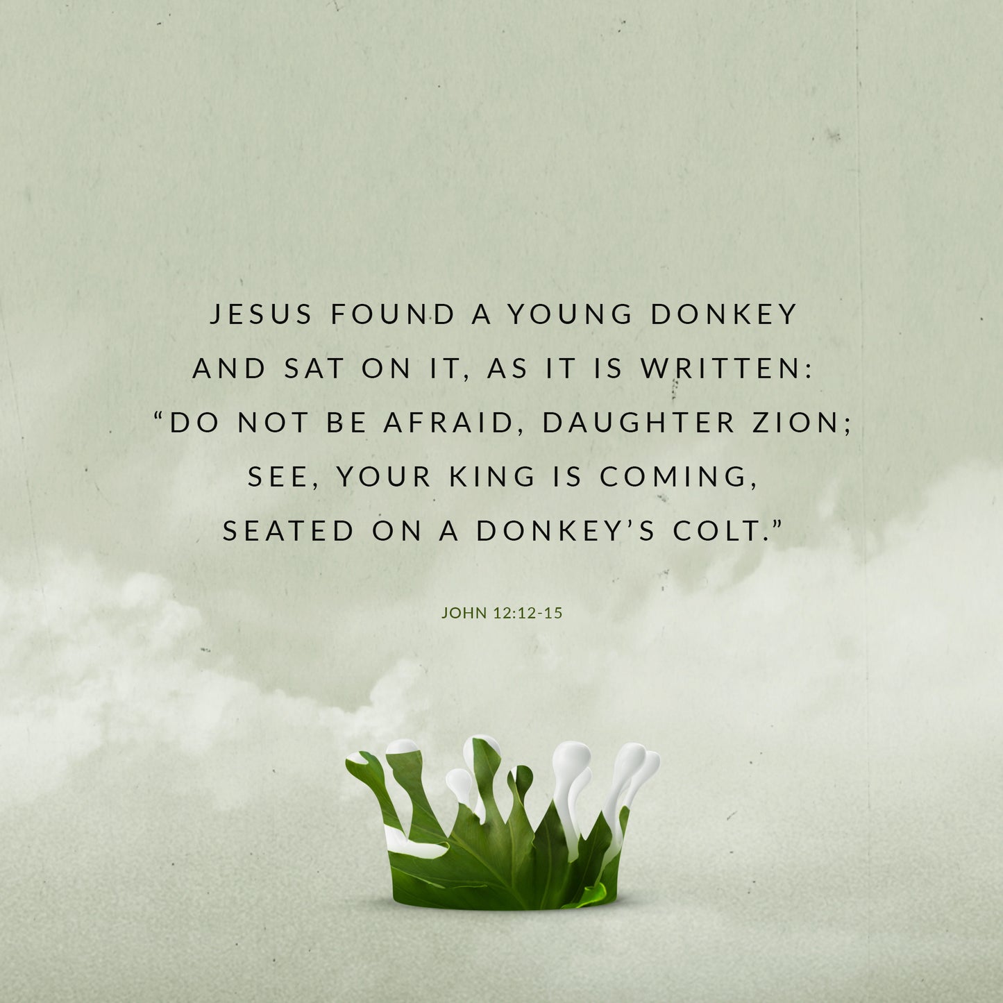 John 12:14-15