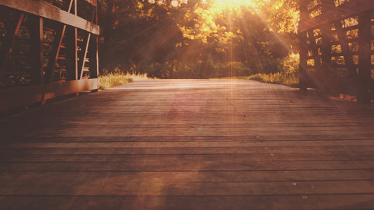 Summer Light Bridge