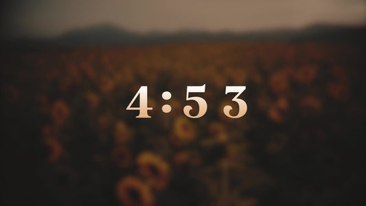 Vintage Sunflowers Countdown