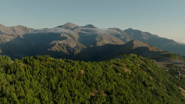 Kiakoura 1