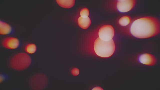 Blissful Bokeh 1