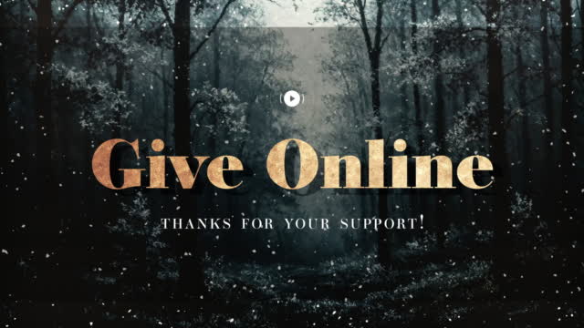 Snow Day Give Stream