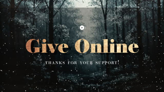 Snow Day Give Stream