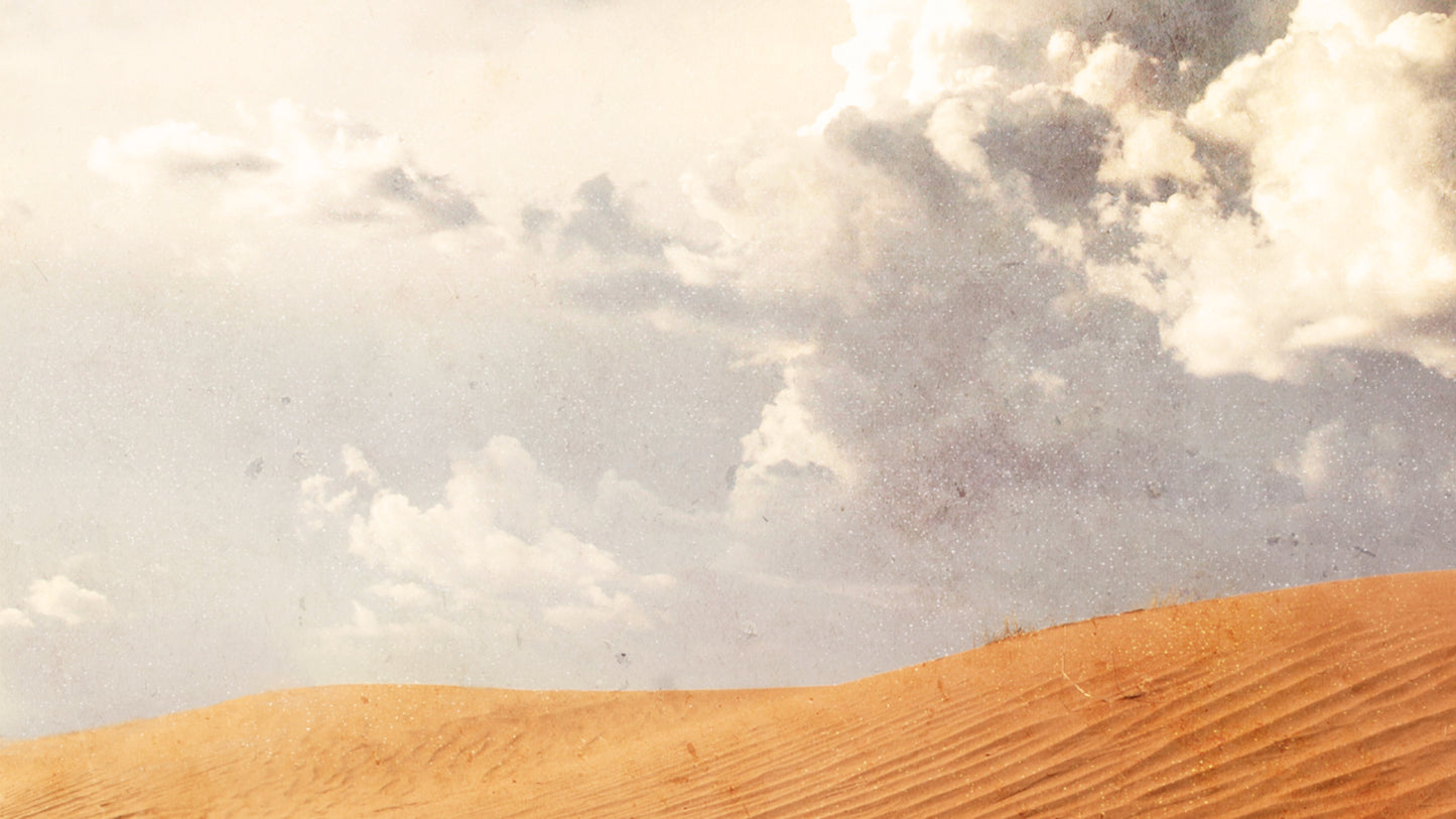 Wilderness Horizon