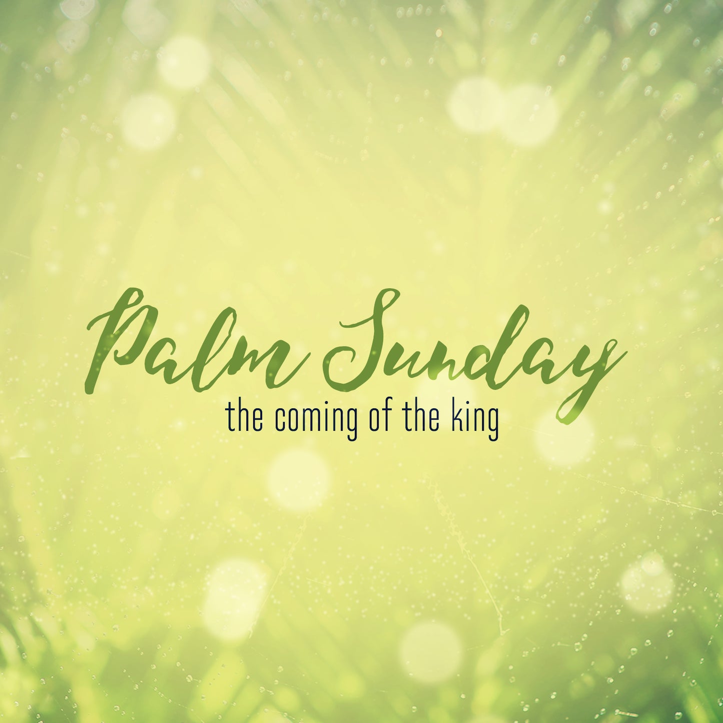 Easter Week Palm Sunday